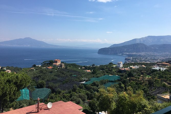 Shore Excursion Sorrento Positano Pompei - Pompeii for 2 hours: what you can do, and what you should confirm