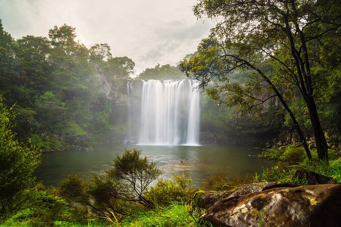 Shore Excursion To Historic Kerikeri Including Lunch - Rainbow Falls Viewpoints: Easy Walk, Big Photo Payoff
