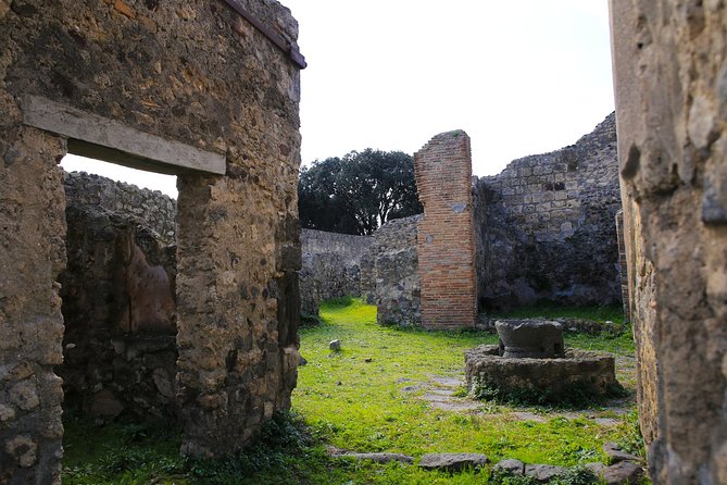 Shore Excursion Tour for Kids from Naples to Pompeii and Amalfi Coast - Price and Value: What You’re Really Paying For