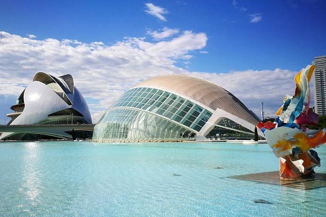 Shore Excursion: Valencia Half-Day Private Tour - City of Arts and Sciences: Calatrava shapes and photo-time around Hemisferic & Oceanografic