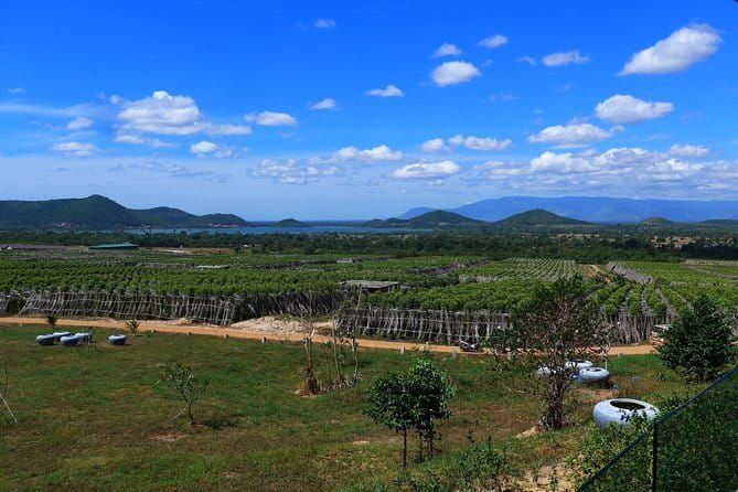 Sihanoukville Small-Group City Tour for Cruise Passengers - Wat Krom Temple: Hill Views Over the Gulf of Thailand