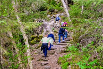Skagway Shore Excursion Chilkoot Trail Hike and Float Tour - Getting There From Your Cruise Ship: Pickup and Meeting Points