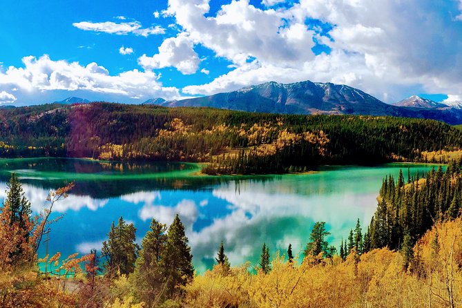 Skagway Shore Excursion: Full-Day Tour of the Yukon - Key things to know before you go