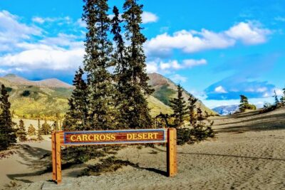 Skagway Shore Excursion: Full-Day Tour of the Yukon - Lake stops that set the tone: Tutshi Lake, Tagish Lake, and the Yukon sign
