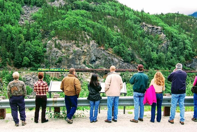 Skagway Shore Excursion: Half-Day Tour to the Yukon Border and Suspension Bridge - Best photo strategy for a half-day schedule