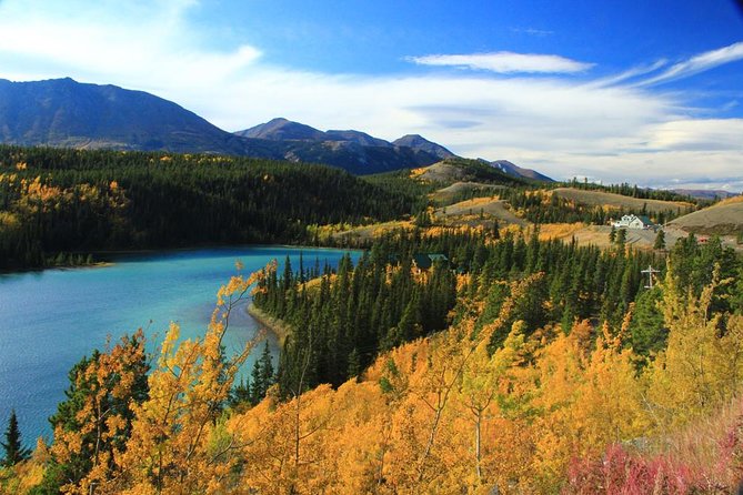 Skagway Shore Excursion: Yukon Discovery Tour - Key highlights you’ll care about