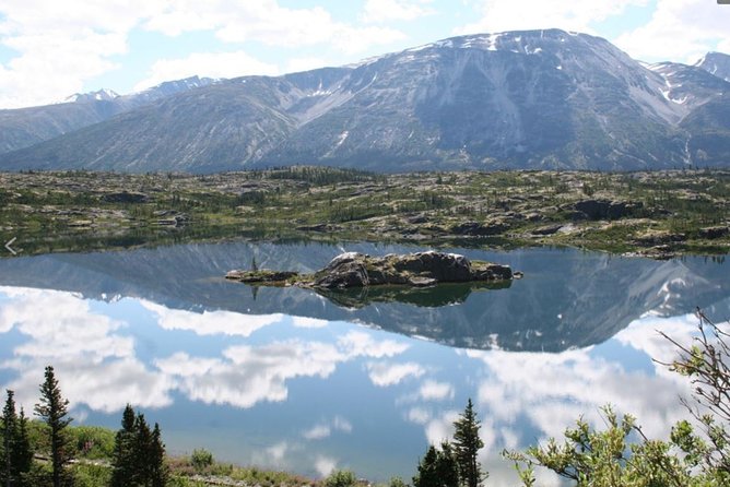 Skagway Shore Excursion: Yukon Discovery Tour - Guides make the difference on a 6-hour coach day