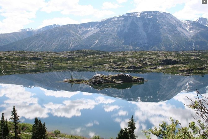 Skagway Shore Excursion: Yukon Dog Sledding and Sightseeing Tour - Scenic stops that make the drive worth it