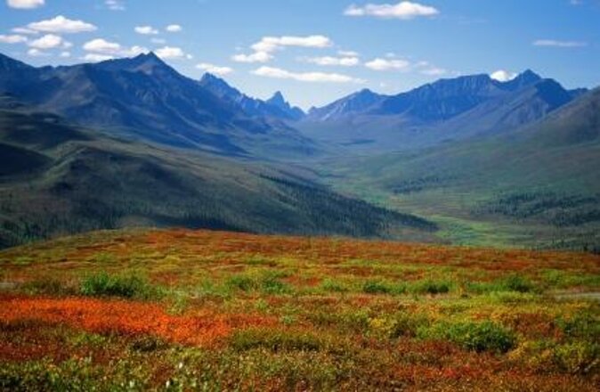 Skagway Shore Excursion: Yukon Dog Sledding and Sightseeing Tour - The 15-minute dog mushing adventure: fun, but read the fine print on reality