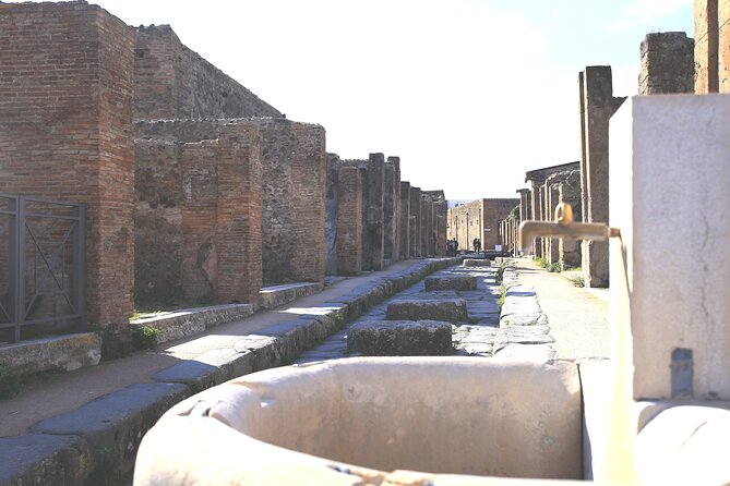 Skip-the-line Pompeii and Amalfi Coast Shore Excursion from Salerno Cruise Port - Who should book this shore excursion