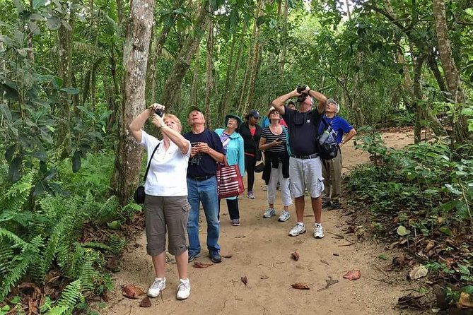 Sloths Lovers Tour. Puerto Limon Shore Excursion - Where This Sloth Tour Makes Sense on a Cruise Day