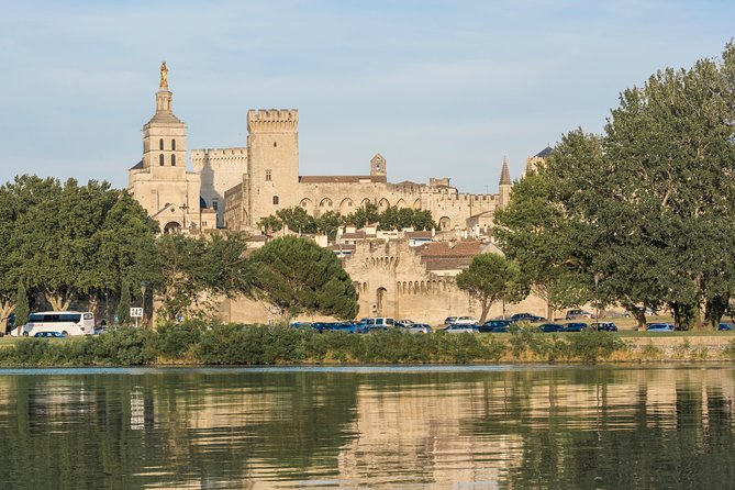 Small Group Marseille Shore Excursion : Avignon & Chateauneuf du Pape Wine Tour - Pont Saint-Bénézet: the 15-minute stop that earns its photo
