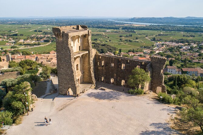 Small Group Marseille Shore Excursion : Avignon & Chateauneuf du Pape Wine Tour - Should you book this Avignon and Châteauneuf-du-Pape tour from Marseille?