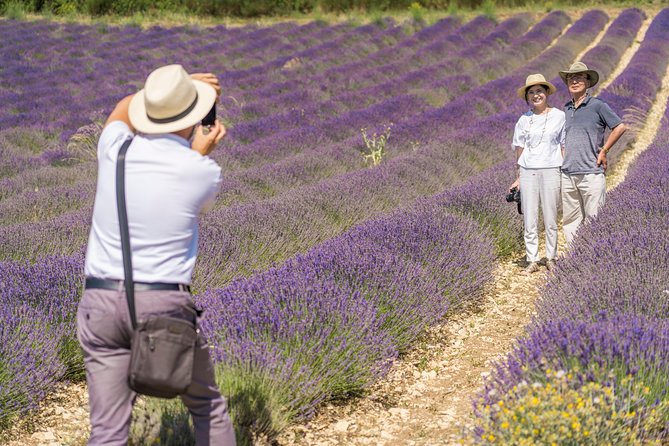 Small Group Marseille Shore Excursion: Lavender Tour - Why this Marseille lavender trip works for a cruise day