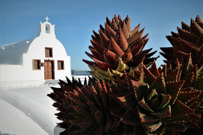 Stress-Free Santorini Shore Excursion: Private Highlights Tour - The 7 to 8 hour flow: viewpoints, villages, and two beaches