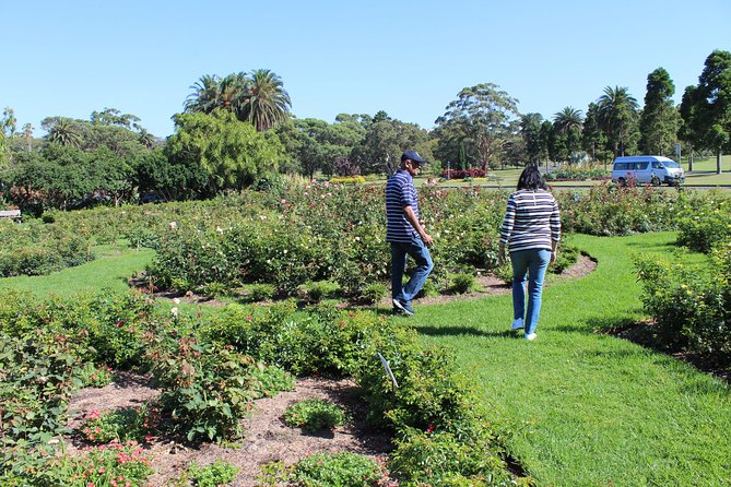 Sydney Shore Excursion: Half-Day Sydney City Highlights and Manly - Key highlights to look for