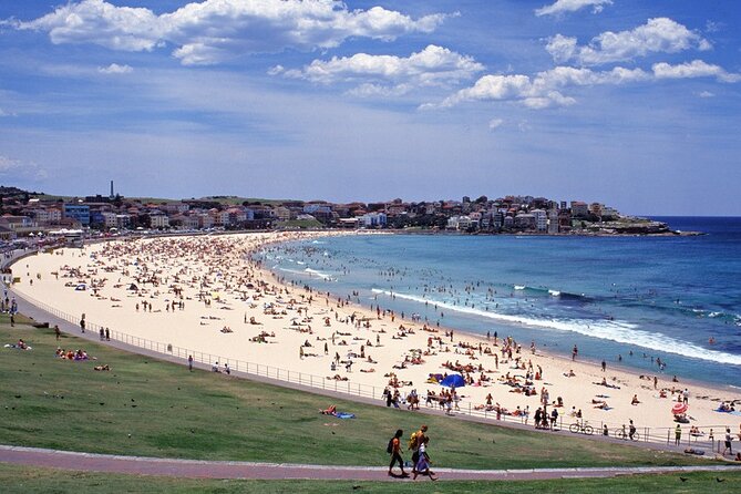 Sydney Shore Excursion: Half-Day Sydney City Highlights with Bondi Beach and Watsons Bay - Port-to-Ocean Speedrun: Is This the Right Shore Day Plan?