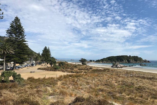 Tauranga Shore Excursion: History & Kiwifruit Tasting – 4 Hours - Port Pickup, 4 Hours, and the Right Pace for Tauranga