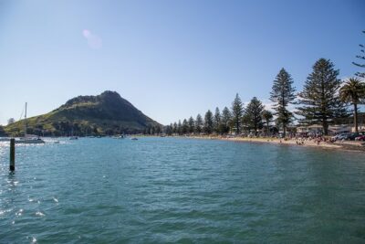 Tauranga Shore Excursion: History & Kiwifruit Tasting – 4 Hours - Tauranga Harbour Bridge and the Port: How Work Shapes the City