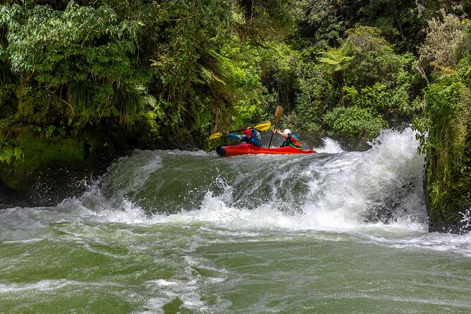 Tauranga Shore Excursion: Rotorua Highlights - Key Points Before You Go