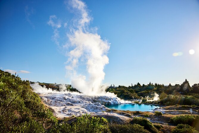 Tauranga Shore Excursion: Rotorua Highlights - Rotorua Lunch on Your Own: How to Spend 45 Minutes Wisely