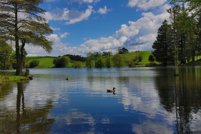 Tauranga Shore Excursion: Top Half Day Curated Highlights Tour - Key highlights at a glance