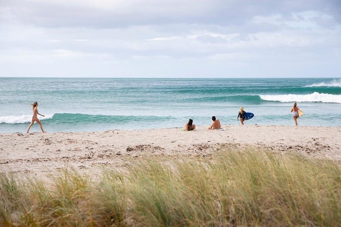 Tauranga Shore Excursion: Top Half Day Curated Highlights Tour - Why this Tauranga shore excursion works on a cruise clock