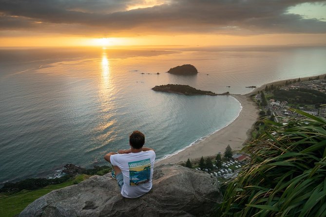 Tauranga Shore Excursion: Top Half Day Curated Highlights Tour - The Elms and Te Papa Tauranga: early Tauranga history without the heavy vibe