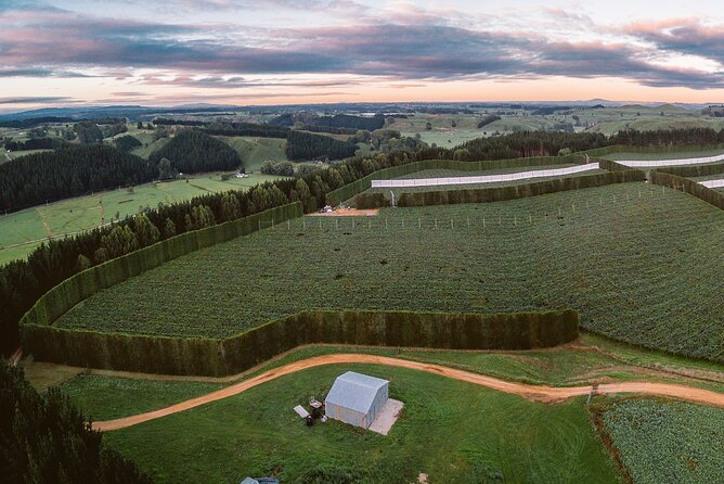 Tauranga Shore Excursion: Top Half Day Curated Highlights Tour - Gate Pa Memorial Reserve: the Battle of Gate Pa in a meaningful setting