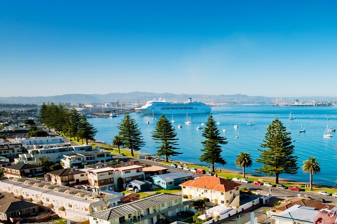 Tauranga Shore Excursion: Top Half Day Curated Highlights Tour - Mt. Maunganui pickup and the harbor crossing: a fast start with big views