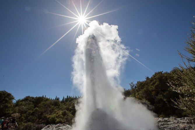 TAURANGA SHORE EXCURSION: V8 TRIKE - 1.5 hour City Sites - Harbour Drive and the waterfront feel close to everything