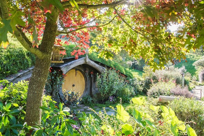 Tauranga to Magical Hobbiton Movie Set - Private Shore Excursion - Quick hits before you go