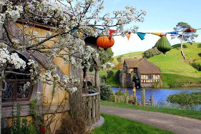 Tauranga to Magical Hobbiton Movie Set - Private Shore Excursion - Should you book Tauranga to Hobbiton privately?