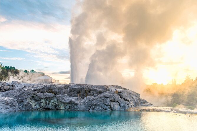 Te Puia Geothermal, Kiwi and Māori Art - Te Puia First: The Rotorua Day That Starts Strong