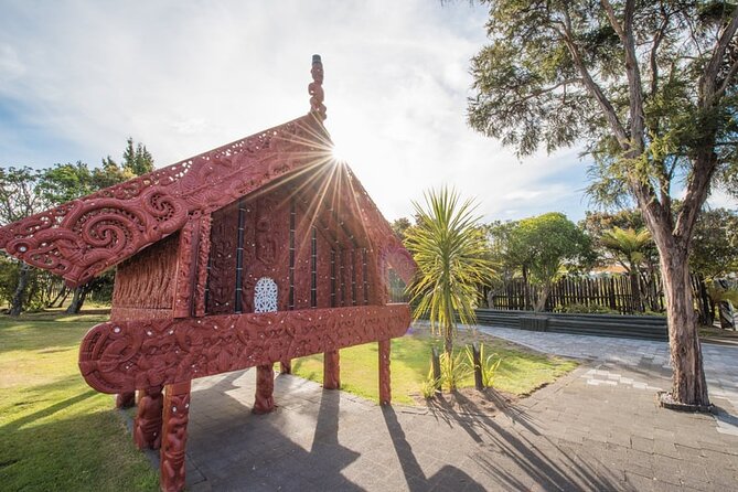 Te Puia Geothermal, Kiwi and Māori Art - Price and Value: Is $148.94 a Good Deal?