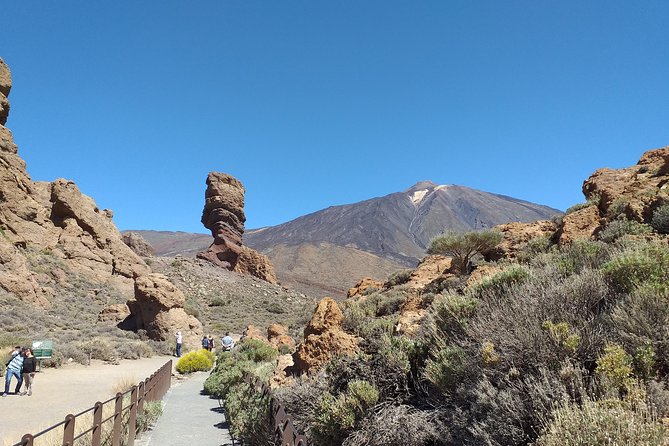 Teide essential Shore Excursion VIP TOUR - Teide day on a small scale (and why that matters)