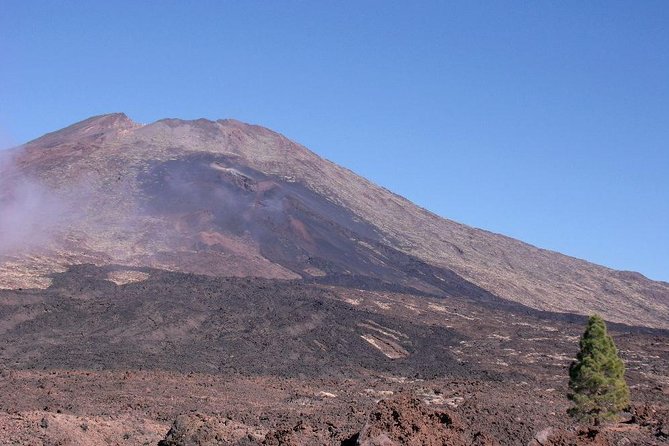 Teide essential Shore Excursion VIP TOUR - Price and value: what $86.42 actually covers