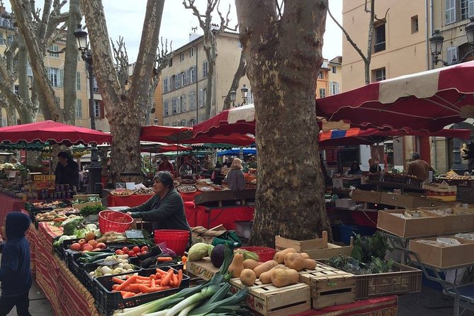 Toulon private Shore Excursion: A taste of Provence - Port pickup to Provence: what that 8-hour day actually feels like