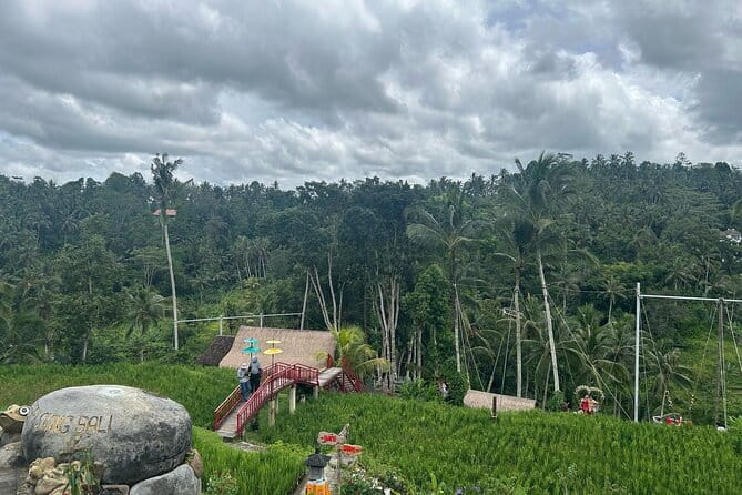 Ubud Private Tour From Cruise Port Benoa Bali All Inclusive - Tirta Empul-style sacred springs and Ubud’s spiritual rhythm