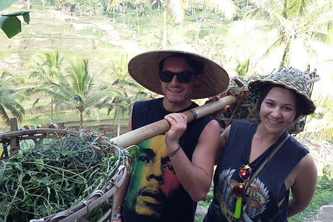 Ubud Private Tour From Cruise Port Benoa Bali All Inclusive - Price and what you truly get for $37.50