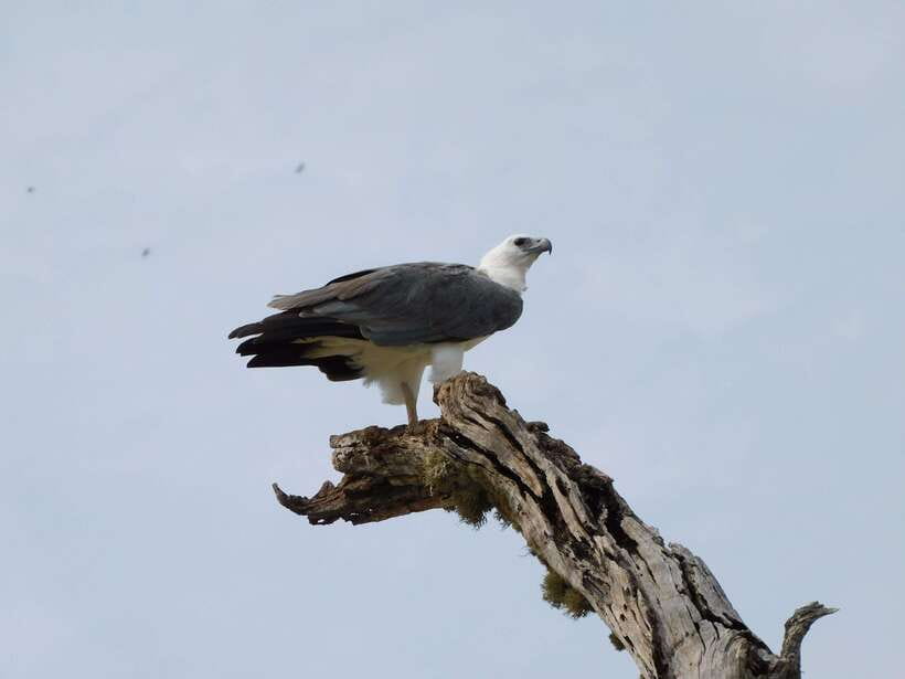 Udawalawe Safari Tour from Hambantota Port (Shore Excursion) - Key things to know before you go