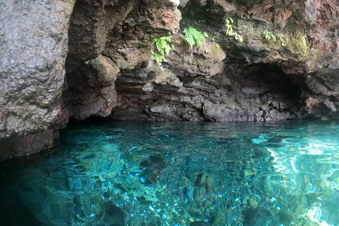 Ultimate Upolu Highlights Tour – Apia Cruise Ship Shore Excursion - Key Highlights You’ll Actually Care About