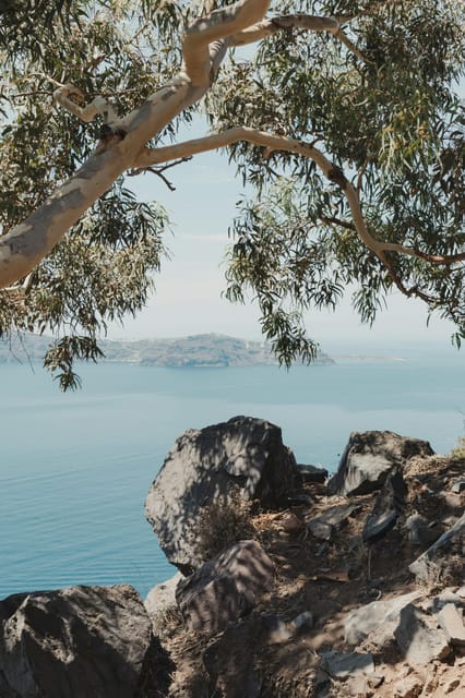 Unique 3-Hour Tour of Santorini for Cruise Ship Passengers - A private guide makes the difference (especially with Xena-style attention)