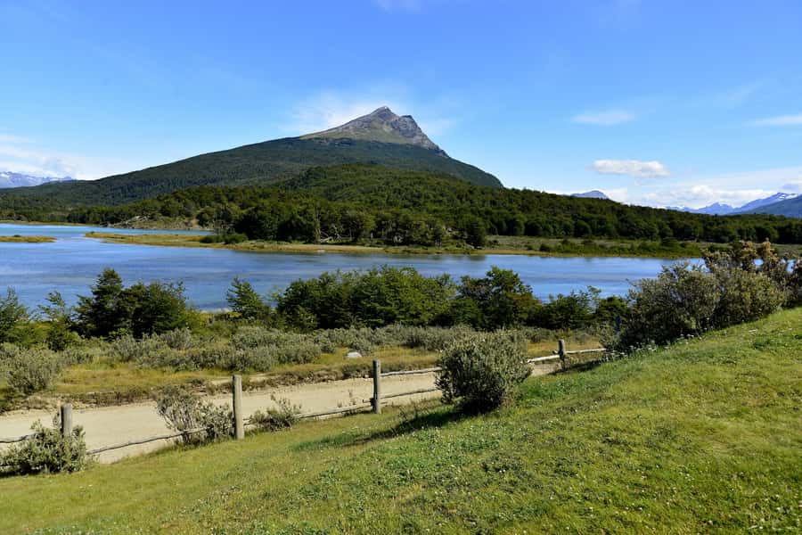 Ushuaia: Tierra del Fuego National Park Shore Excursion - Who This Shore Excursion Fits Best