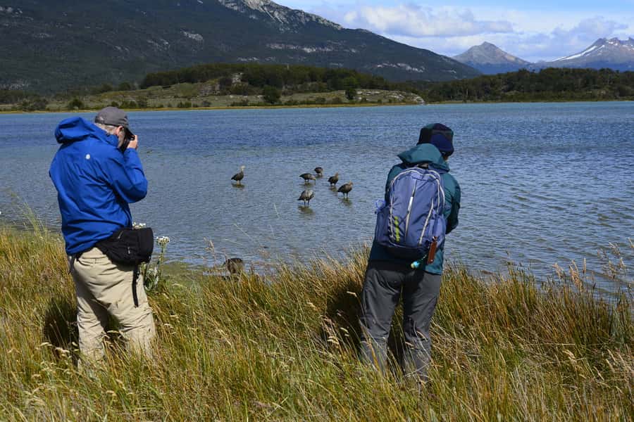 Ushuaia: Tierra del Fuego National Park Shore Excursion - Price and Value: Is $55 Worth It?