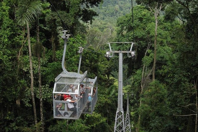 Veragua Rainforest and Tortuguero Canals Shore Excursion - The morning drive from Puerto Limón: comfort, then country roads
