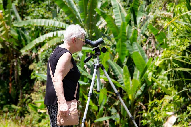 Veragua Rainforest Walk, Tram & Tortuguero Boat Tour. Limon Shore Excursion - Puerto Limón first look: the easy start at the pier
