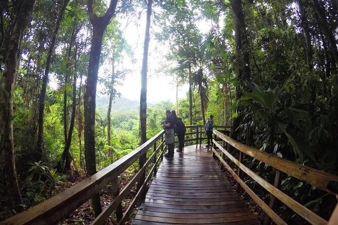 Veragua Rainforest Walk, Tram & Tortuguero Boat Tour. Limon Shore Excursion - Tortuguero Canal boat ride: wildlife time on forest waterways