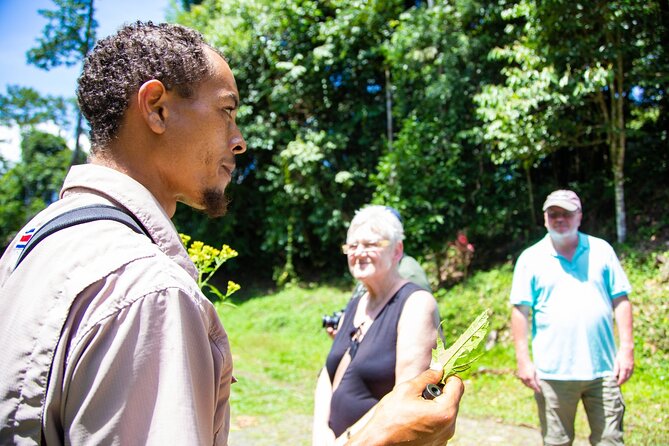 Veragua Rainforest Walk, Tram & Tortuguero Boat Tour. Limon Shore Excursion - Price and value: is $175 fair for this mix?