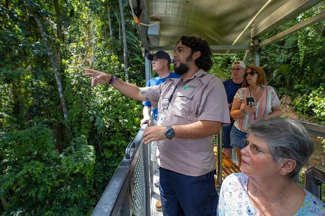Veragua Rainforest Walk, Tram & Tortuguero Boat Tour. Limon Shore Excursion - Who this tour suits best (and who should reconsider)